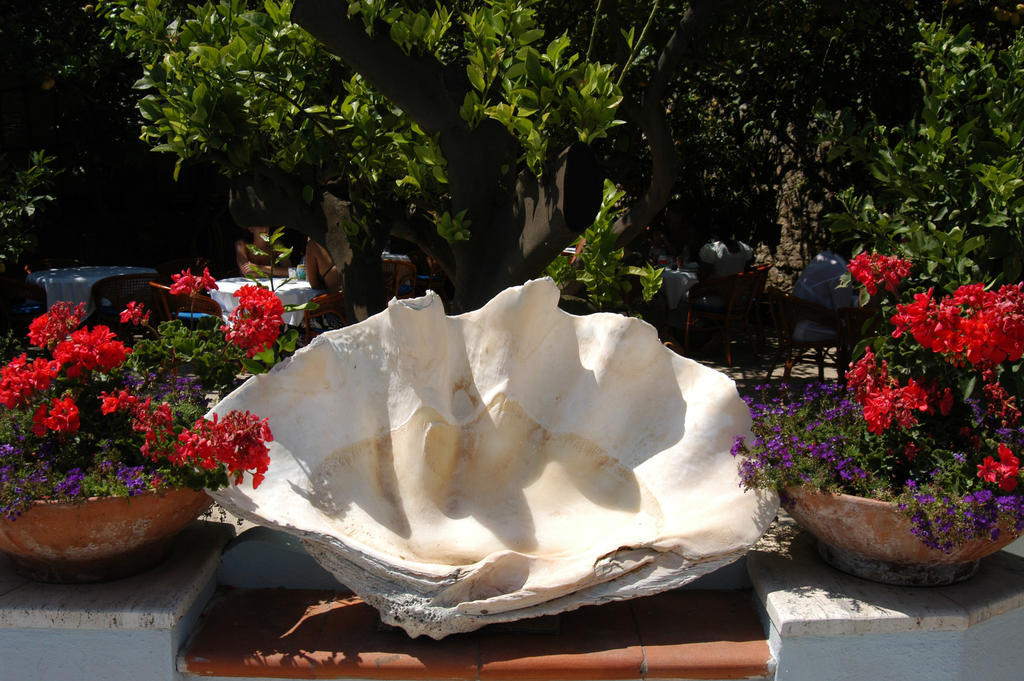 Hotel San Felice Capri Bagian luar foto